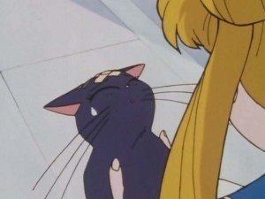 SailorMoon-s1-001(34).jpg