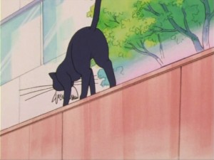 SailorMoon-s1-005(324).jpg