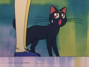 SailorMoon-s1-006(211).jpg
