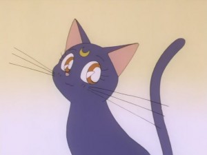 SailorMoon-s1-008(14).JPG