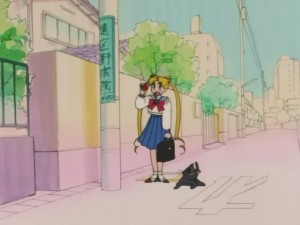 SailorMoon-s1-008(348).JPG