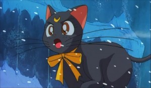 SailormoonS-movie (1681).jpg