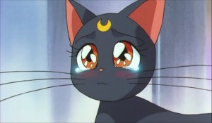 SailormoonS-movie (2062).jpg