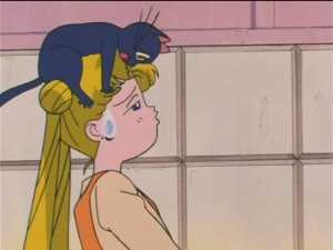 screenshot-anime-sailor-moon-s-episode-090-328.JPG