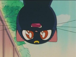 screenshot-anime-sailor-moon-s-episode-090-329.JPG