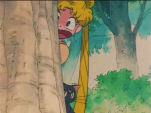 screenshot-anime-sailor-moon-s-episode-090-340.JPG