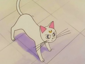 screenshot-anime-sailor-moon-s-episode-100-023.jpg