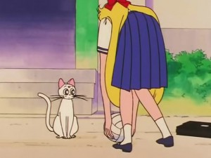 screenshot-anime-sailor-moon-s-episode-100-035.jpg