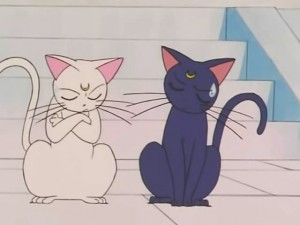 screenshot-anime-sailor-moon-s-episode-103-505.jpg