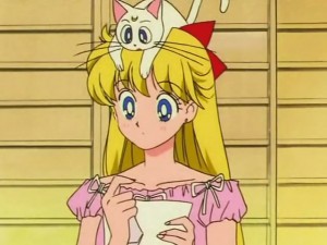 screenshot-anime-sailor-moon-s-episode-104-023.jpg