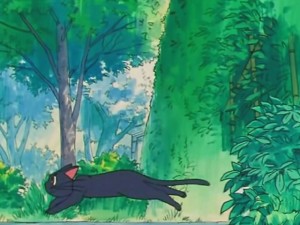 screenshot-anime-sailor-moon-s-episode-104-293.jpg