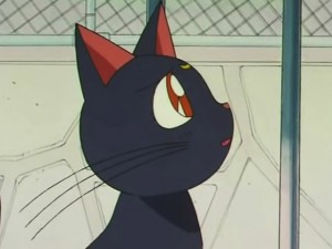 screenshot-anime-sailor-moon-s-episode-105-080.jpg