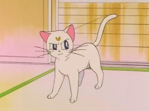 screenshot-anime-sailor-moon-s-episode-114-094.jpg