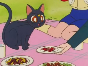 screenshot-anime-sailor-moon-s-episode-116-219.jpg