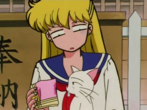 screenshot-anime-sailor-moon-s-episode-117-027.jpg
