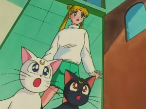 screenshot-anime-sailor-moon-s-episode-121-261.jpg