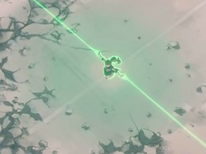 screenshot-anime-sailor-moon-s-episode-124-306.jpg