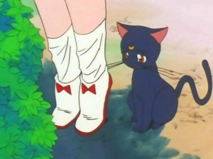 screenshot-anime-sailor-moon-super-s-episode-129-202.jpg