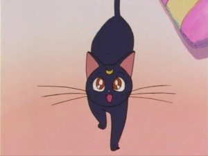 SailorMoon-s1-005(191).jpg