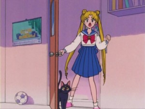 SailorMoon-s1-005(334).jpg