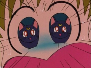 SailorMoon-s1-005(40).jpg