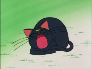 SailorMoon-s1-005(464).jpg