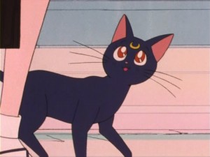 SailorMoon-s1-005(84).jpg