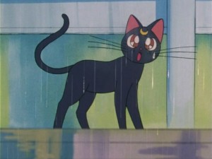 SailorMoon-s1-006(139).jpg