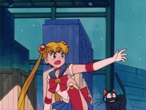 SailorMoon-s1-006(435).jpg