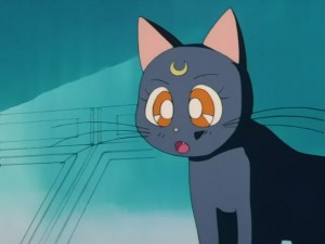 SailorMoon-s1-008(117).JPG