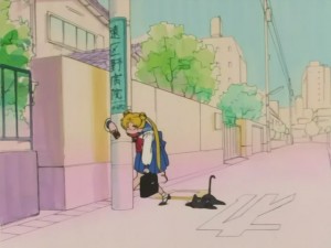 SailorMoon-s1-008(347).JPG