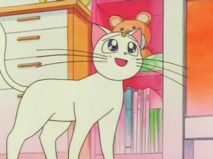 minako-room-03.jpg