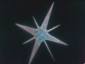 screenshot-anime-sailor-moon-s-episode-090-022.JPG
