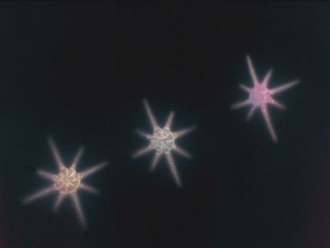 screenshot-anime-sailor-moon-s-episode-090-024.JPG