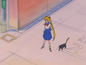 screenshot-anime-sailor-moon-s-episode-094-326.jpg