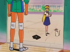 screenshot-anime-sailor-moon-s-episode-100-036.jpg