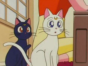screenshot-anime-sailor-moon-s-episode-100-169.jpg