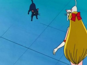 screenshot-anime-sailor-moon-s-episode-102-123.jpg