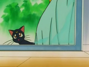 screenshot-anime-sailor-moon-s-episode-107-126.jpg