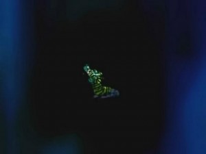 screenshot-anime-sailor-moon-s-episode-113-459.jpg