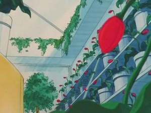 screenshot-anime-sailor-moon-s-episode-121-114.jpg