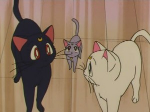 screenshot-anime-sailor-moon-super-s-episode-160-170.jpg