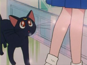 SailorMoon-s1-005(302).jpg