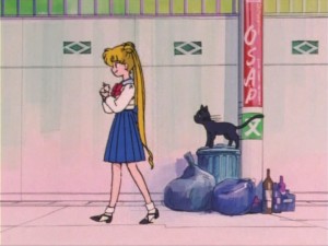 SailorMoon-s1-005(308).jpg