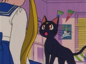 SailorMoon-s1-005(351).jpg