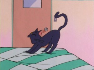 SailorMoon-s1-005(37).jpg