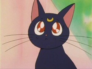SailorMoon-s1-005(91).jpg