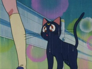 SailorMoon-s1-006(160).jpg