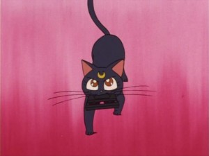 SailorMoon-s1-006(399).jpg