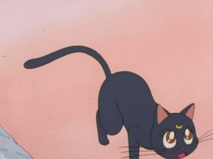 SailorMoon-s1-008(86).JPG
